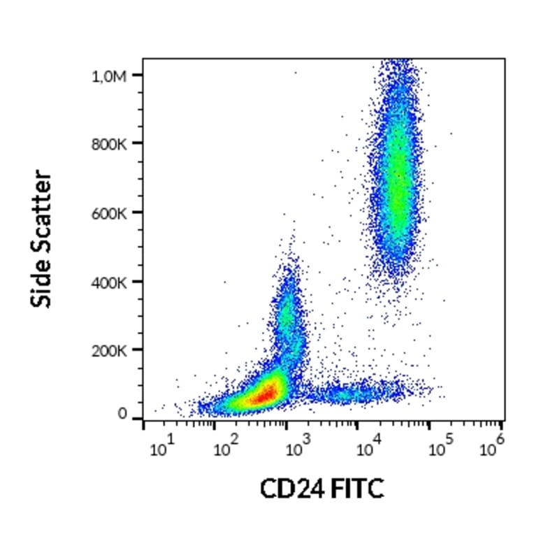 Flow Cytometry - Anti-CD24 Antibody [SN3] (FITC) (A86015)
