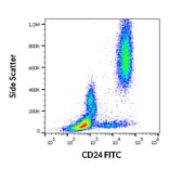 Flow Cytometry - Anti-CD24 Antibody [SN3] (FITC) (A86015)
