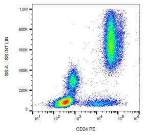 Flow Cytometry - Anti-CD24 Antibody [SN3] (PE) (A86017)
