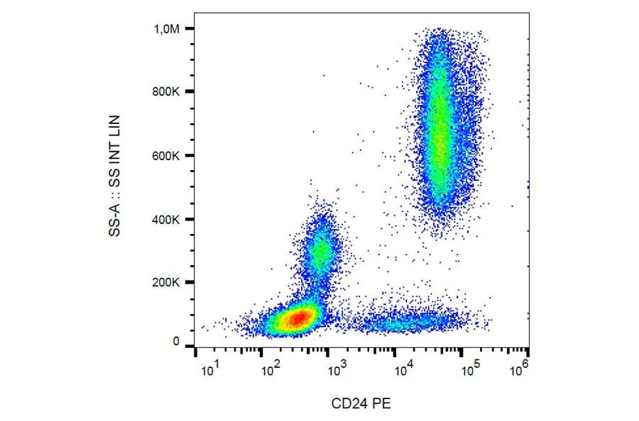Flow Cytometry - Anti-CD24 Antibody [SN3] (PE) (A86017)