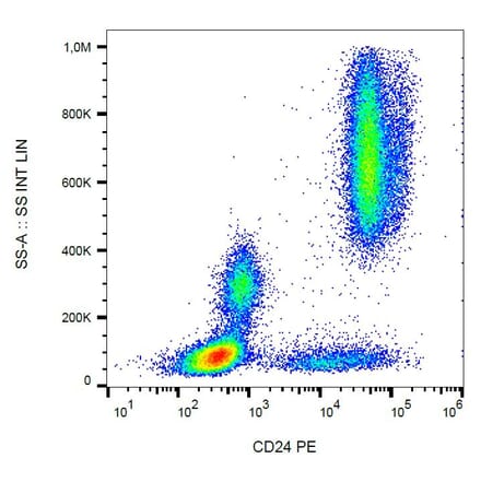 Flow Cytometry - Anti-CD24 Antibody [SN3] (PE) (A86017)