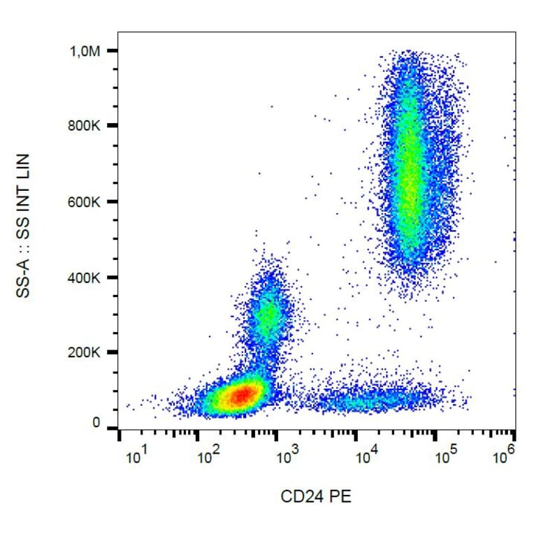Flow Cytometry - Anti-CD24 Antibody [SN3] (PE) (A86017)