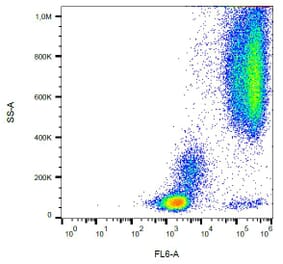 Flow Cytometry - Anti-CD24 Antibody [SN3] (A86020)