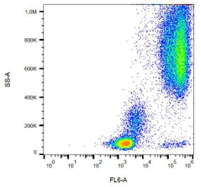 Flow Cytometry - Anti-CD24 Antibody [SN3] (A86020) - Antibodies.com