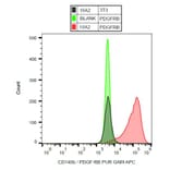 Flow Cytometry - Anti-PDGF Receptor beta Antibody [18A2] (A86021) - Antibodies.com