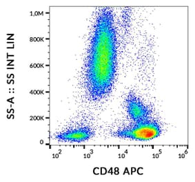 Flow Cytometry - Anti-CD48 Antibody [MEM-102] (APC) (A86025)