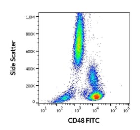 Flow Cytometry - Anti-CD48 Antibody [MEM-102] (FITC) (A86026)