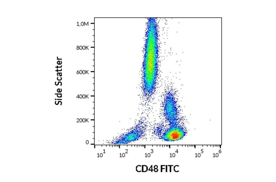 Flow Cytometry - Anti-CD48 Antibody [MEM-102] (FITC) (A86026)