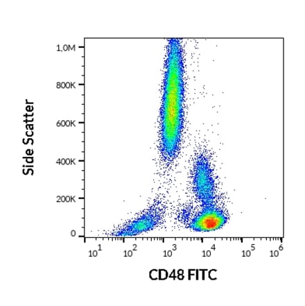 Flow Cytometry - Anti-CD48 Antibody [MEM-102] (FITC) (A86026)