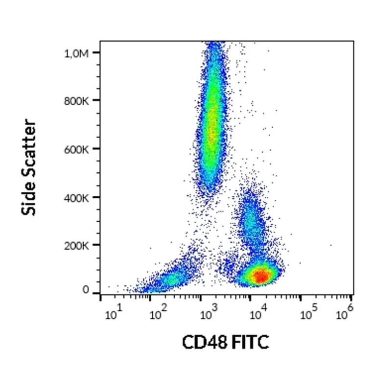 Flow Cytometry - Anti-CD48 Antibody [MEM-102] (FITC) (A86026)