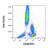 Flow Cytometry - Anti-CD48 Antibody [MEM-102] (FITC) (A86026)