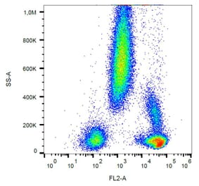 Flow Cytometry - Anti-CD48 Antibody [MEM-102] (PE) (A86022) - Antibodies.com