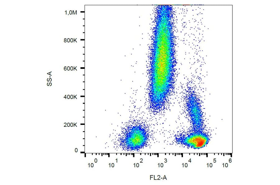 Flow Cytometry - Anti-CD48 Antibody [MEM-102] (PE) (A86022) - Antibodies.com