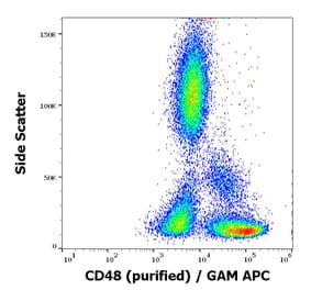 Flow Cytometry - Anti-CD48 Antibody [MEM-102] (A86028)