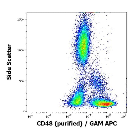Flow Cytometry - Anti-CD48 Antibody [MEM-102] (A86028)