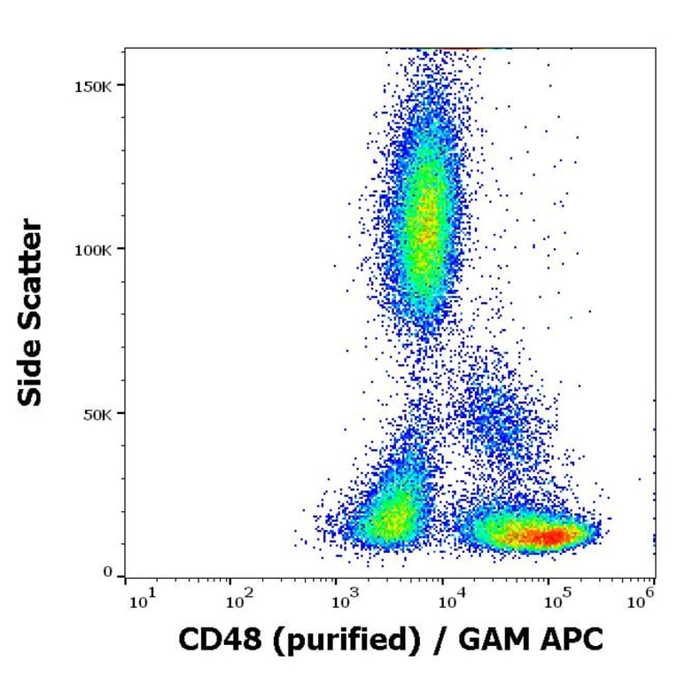 Flow Cytometry - Anti-CD48 Antibody [MEM-102] (A86028)