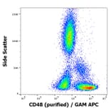 Flow Cytometry - Anti-CD48 Antibody [MEM-102] (A86028)
