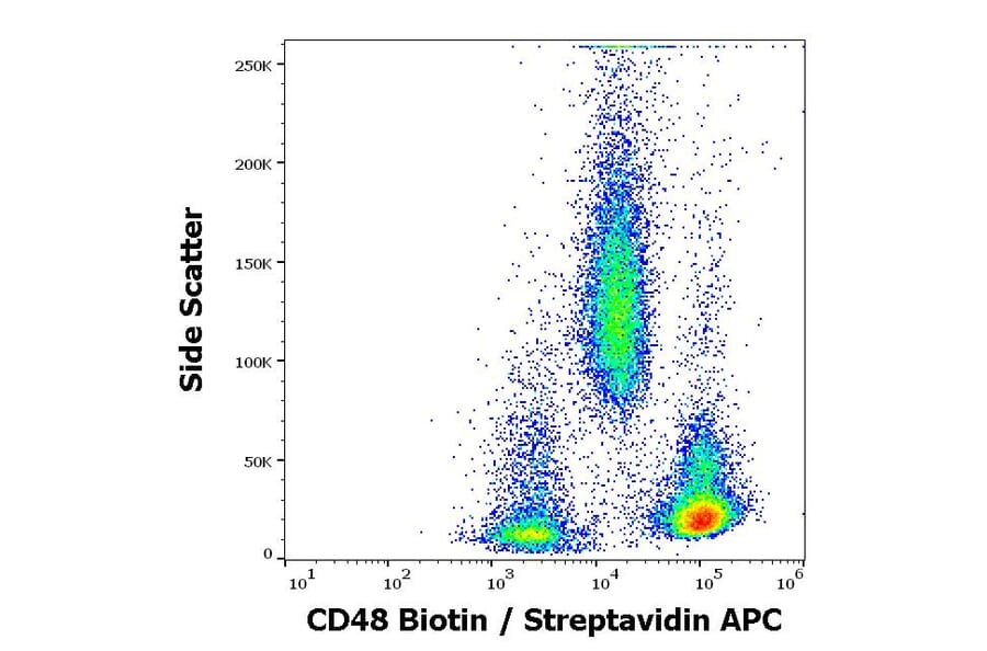 Flow Cytometry - Anti-CD48 Antibody [MEM-102] (Biotin) (A86029)