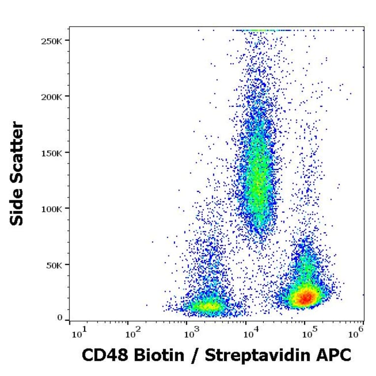 Flow Cytometry - Anti-CD48 Antibody [MEM-102] (Biotin) (A86029)