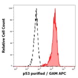 Flow Cytometry - Anti-p53 Antibody [BP53-12] (A86031)