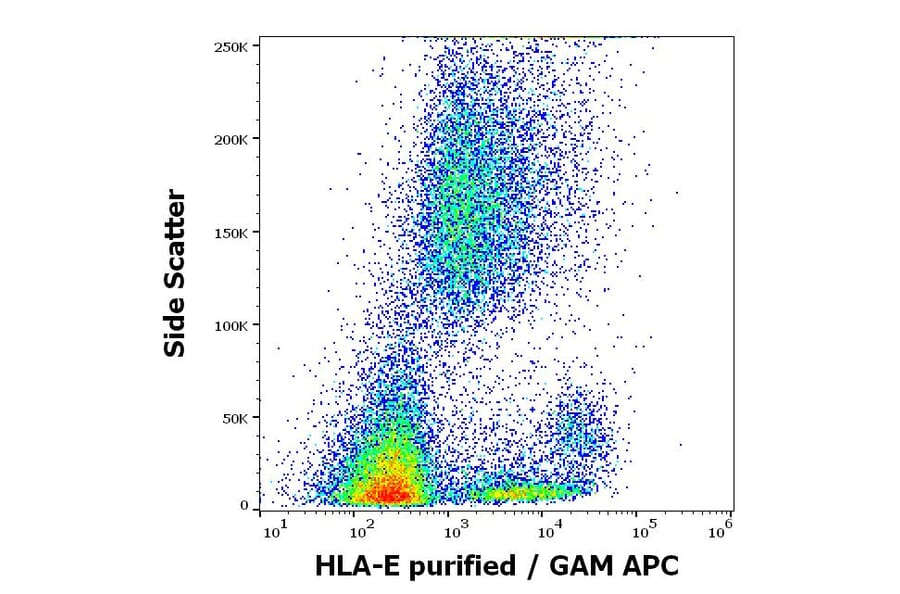Flow Cytometry - Anti-HLA E Antibody [MEM-E/06] (A86033)