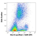 Flow Cytometry - Anti-HLA E Antibody [MEM-E/06] (A86033)