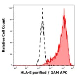 Flow Cytometry - Anti-HLA E Antibody [MEM-E/07] (A86034)