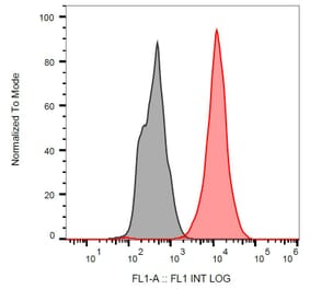 Flow Cytometry - Anti-p53 Antibody [BP53-12] (FITC) (A86037)