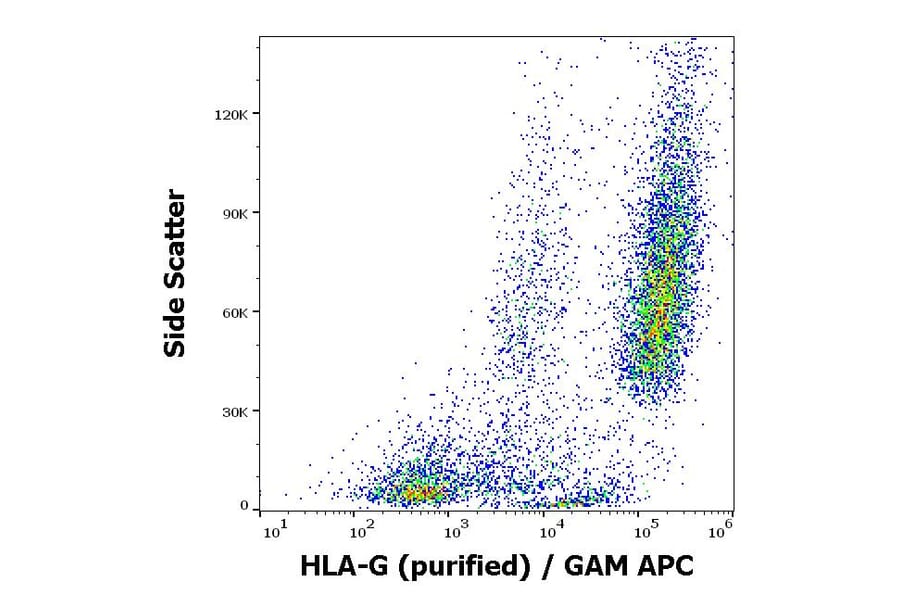 Flow Cytometry - Anti-HLA G Antibody [01G] (A86039)