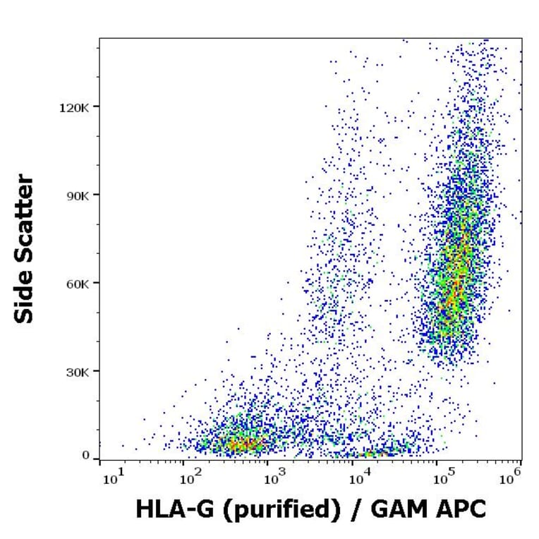 Flow Cytometry - Anti-HLA G Antibody [01G] (A86039)