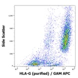 Flow Cytometry - Anti-HLA G Antibody [01G] (A86039)