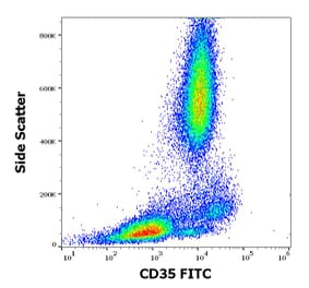 Flow Cytometry - Anti-CD35 Antibody [E11] (FITC) (A86042)