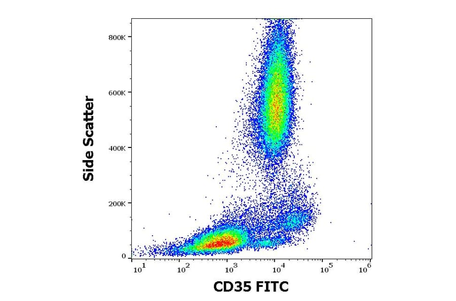 Flow Cytometry - Anti-CD35 Antibody [E11] (FITC) (A86042)