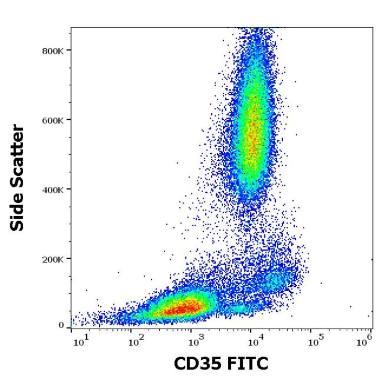 Flow Cytometry - Anti-CD35 Antibody [E11] (FITC) (A86042)