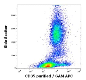 Flow Cytometry - Anti-CD35 Antibody [E11] (A86044)