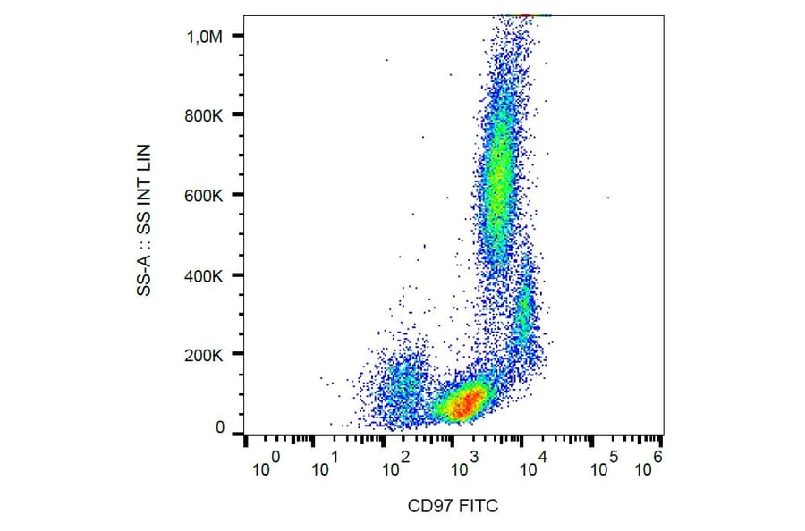 Flow Cytometry - Anti-CD97 Antibody [MEM-180] (FITC) (A86045)