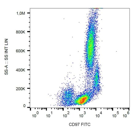 Flow Cytometry - Anti-CD97 Antibody [MEM-180] (FITC) (A86045)