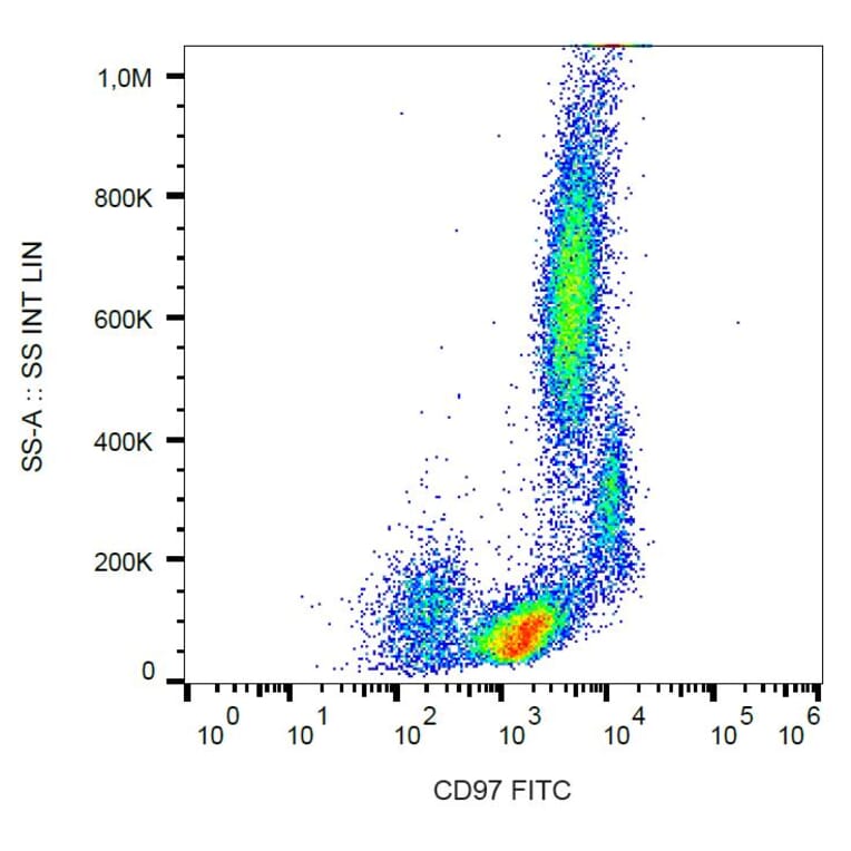 Flow Cytometry - Anti-CD97 Antibody [MEM-180] (FITC) (A86045)