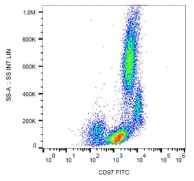 Flow Cytometry - Anti-CD97 Antibody [MEM-180] (FITC) (A86043) - Antibodies.com