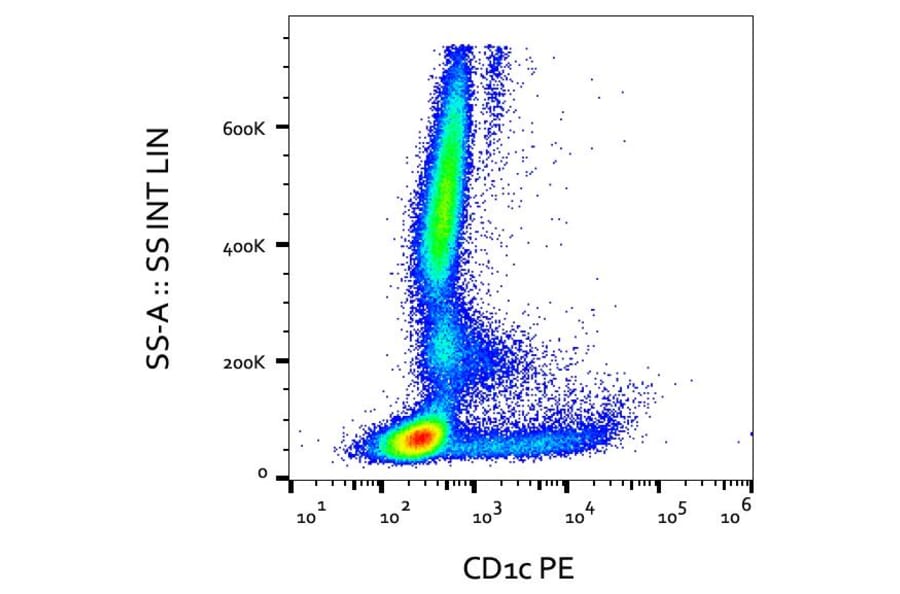 Flow Cytometry - Anti-CD1c Antibody [L161] (PE) (A86046)