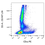 Flow Cytometry - Anti-CD1c Antibody [L161] (PE) (A86046)