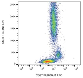 Flow Cytometry - Anti-CD97 Antibody [MEM-180] (A86045) - Antibodies.com