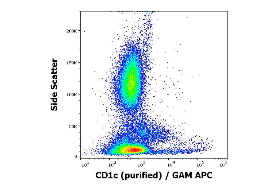 Flow Cytometry - Anti-CD1c Antibody [L161] (A86048)