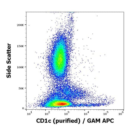 Flow Cytometry - Anti-CD1c Antibody [L161] (A86048)