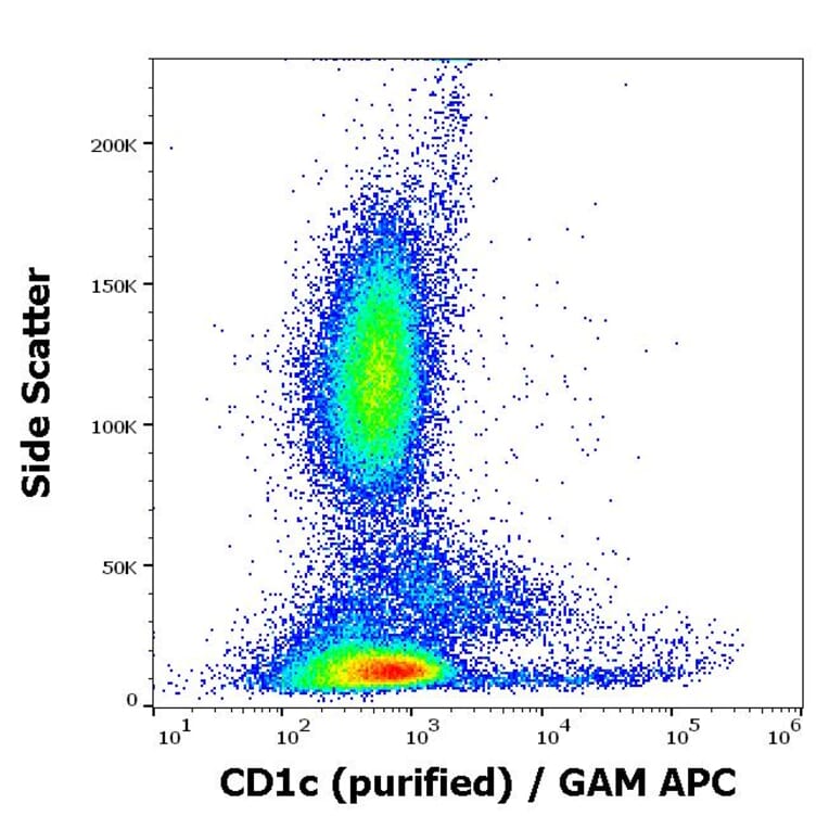 Flow Cytometry - Anti-CD1c Antibody [L161] (A86048)