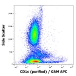 Flow Cytometry - Anti-CD1c Antibody [L161] (A86048)