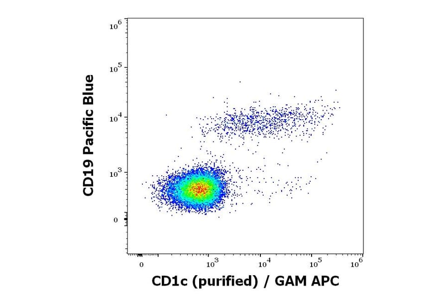 Flow Cytometry - Anti-CD1c Antibody [L161] (A86048)