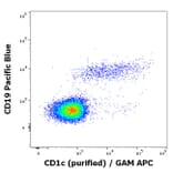 Flow Cytometry - Anti-CD1c Antibody [L161] (A86048)