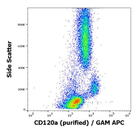Flow Cytometry - Anti-TNF Receptor I Antibody [H398] (A86052)