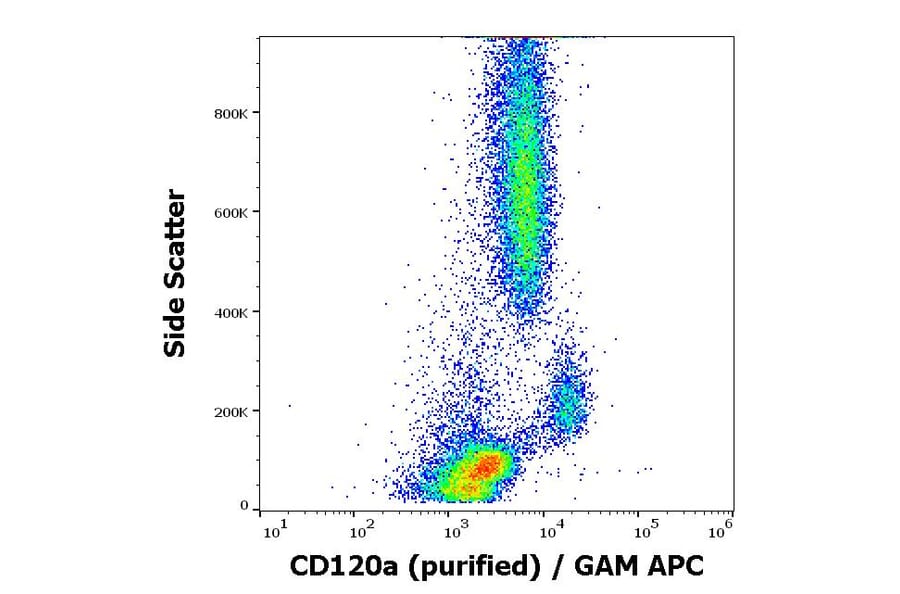 Flow Cytometry - Anti-TNF Receptor I Antibody [H398] (A86052)